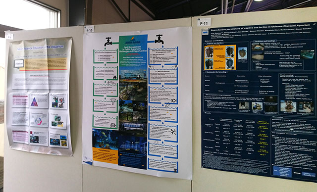 Наш стендовый доклад об опыте эффективной эксплуатации океанариумов